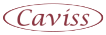 logo caviss